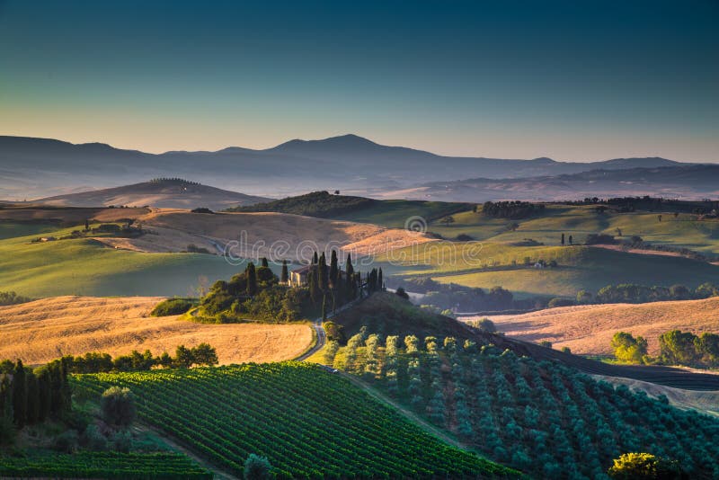 Sceniczny Tuscany krajobraz z tocznymi wzgórzami i dolinami przy wschodem słońca zdjęcie stock Sceniczny Tuscany krajobraz z tocznymi wzgórzami i dolinami przy wschodem słońca zdjęcie stock