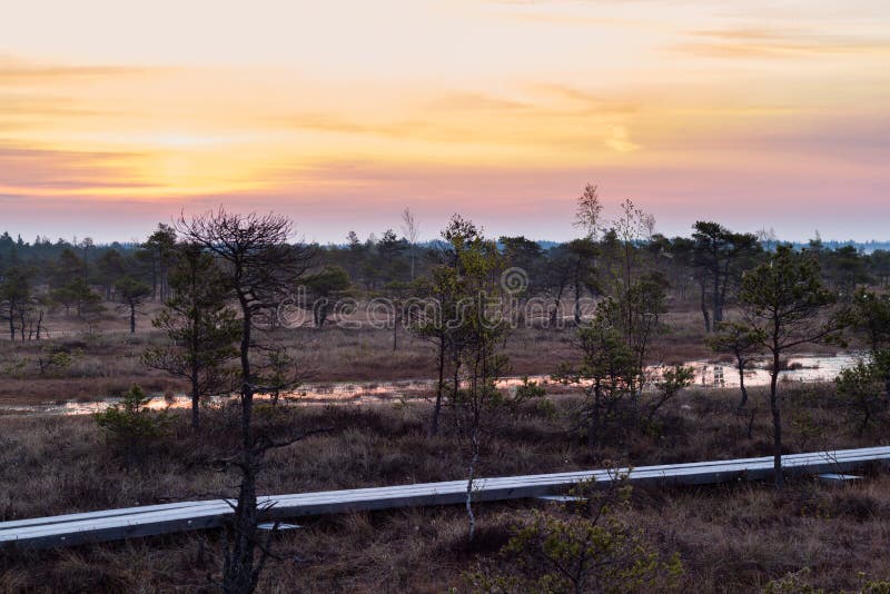 Sceniczny widok od bagna z drewnianą ścieżką zdjęcia stock Sceniczny widok od bagna z drewnianą ścieżką zdjęcia stock