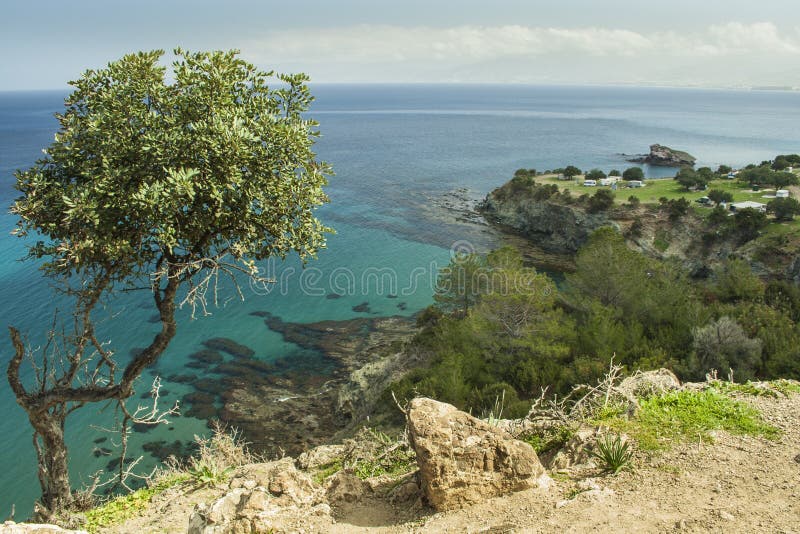 Scenisk kust- bygd på den Akamas halvön av Cypern royaltyfri bild Scenisk kust- bygd på den Akamas halvön av Cypern royaltyfri bild