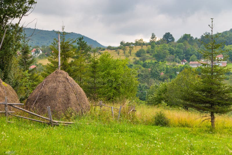 Scenisk landskapsikt i det Tara berget, Serbien royaltyfri foto Scenisk landskapsikt i det Tara berget, Serbien royaltyfri foto
