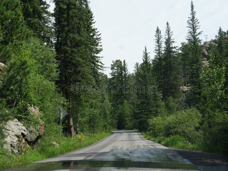 Sceniskt drev på visarhuvudvägen, South Dakota arkivbild Sceniskt drev på visarhuvudvägen, South Dakota arkivbild
