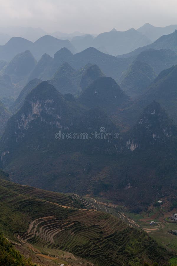 Sceniskt ris terrasserar dalen Vietnam arkivbilder Sceniskt ris terrasserar dalen Vietnam arkivbilder