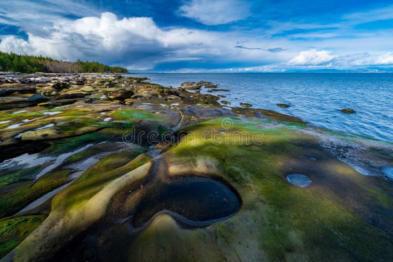 Scenskt kustlandskap med klippt strand. royaltyfri fotografi