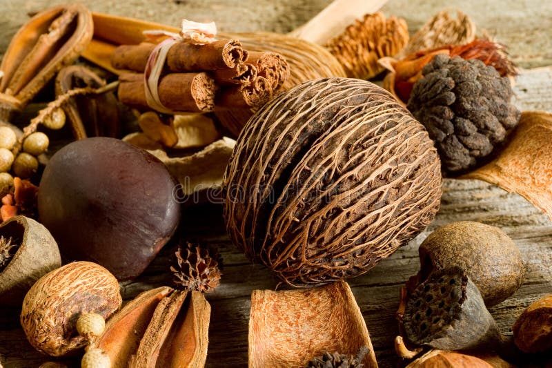 Scented potpourri stock photo. Image of bath, autumn 16499338