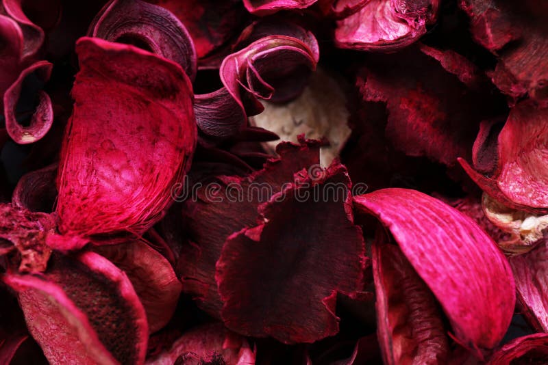 Scented Potpourri of Dried Flowers As Background, Closeup Stock Photo