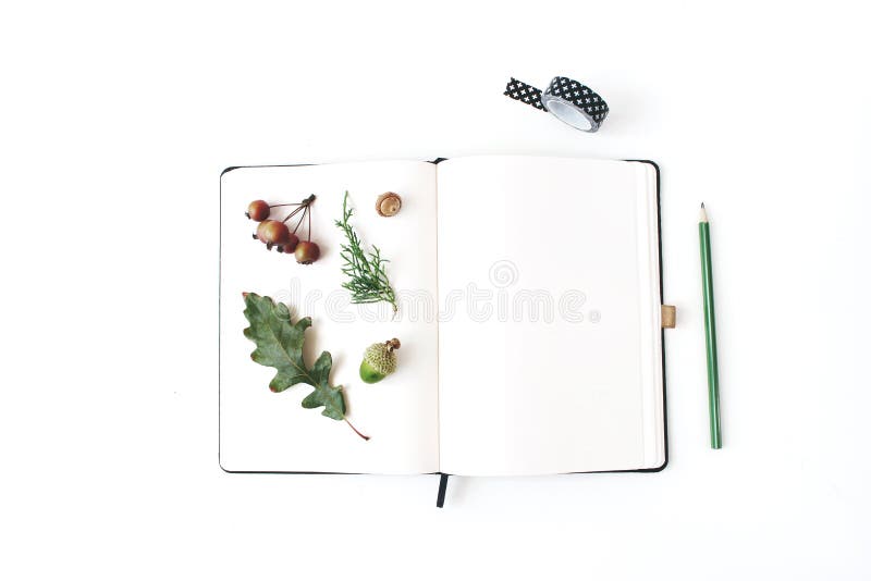 Scenă de mockup de la biroul de toamnă. carnețel alb cu creion negru de washi panglică de stejar și mere mici stock photo