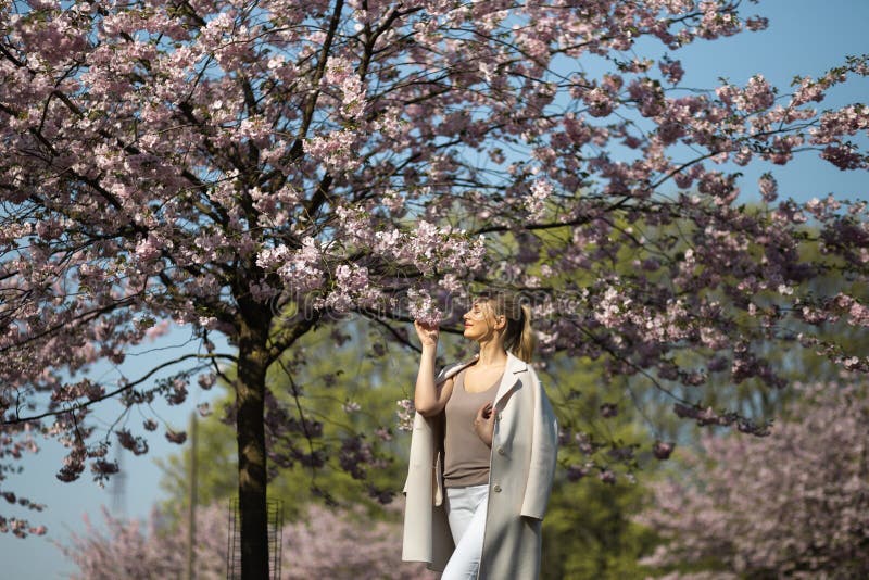Sch?ne blonde junge Frau in Sakura Cherry Blossom-Park im Fr?hjahr Natur und Freizeit w?hrend sie genie?end reisend stockfotos Sch?ne blonde junge Frau in Sakura Cherry Blossom-Park im Fr?hjahr Natur und Freizeit w?hrend sie genie?end reisend stockfotos