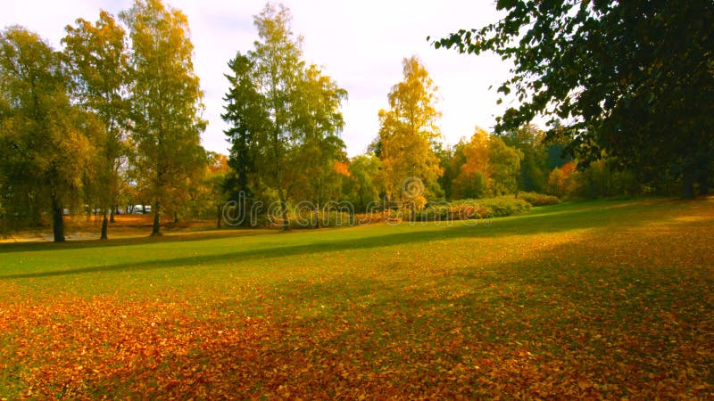 Sch?ne romantische Gasse in einem Park mit bunten B?umen und Sonnenlicht nat?rlicher Hintergrund des Herbstes - Bilderr - Herbst lizenzfreies stockbild Sch?ne romantische Gasse in einem Park mit bunten B?umen und Sonnenlicht nat?rlicher Hintergrund des Herbstes - Bilderr - Herbst lizenzfreies stockbild