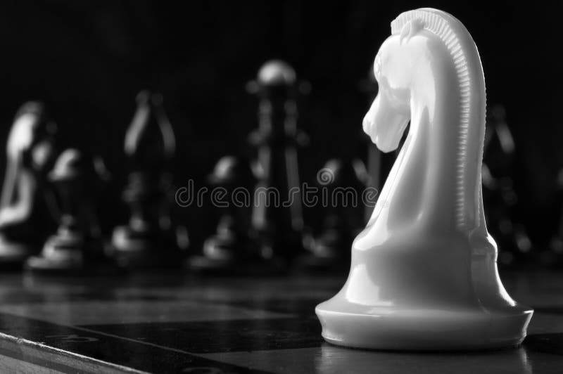 Schachstück des weißen Ritters lizenzfreies stockfoto Schachstück des weißen Ritters lizenzfreies stockfoto