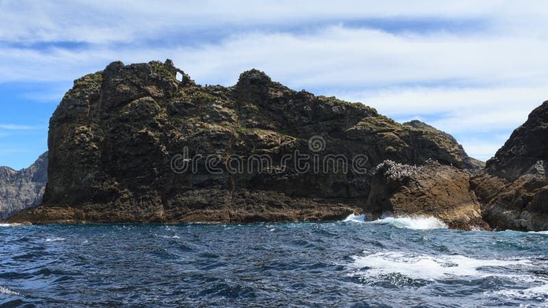Schacht von Inseln, Neuseeland Kleine Tiheru-Insel lizenzfreie stockbilder Schacht von Inseln, Neuseeland Kleine Tiheru-Insel lizenzfreie stockbilder