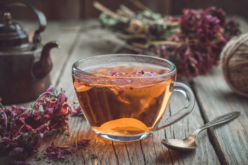 Schale des gesunden Echinaceatees, der trockenen coneflower Kräuter und der Weinleseteekanne auf Tabelle stockfotos Schale des gesunden Echinaceatees, der trockenen coneflower Kräuter und der Weinleseteekanne auf Tabelle stockfotos