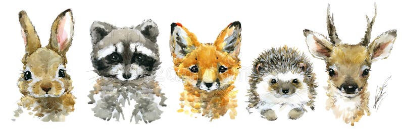 Cute forest baby animals watercolor set. Cute forest baby animals watercolor set