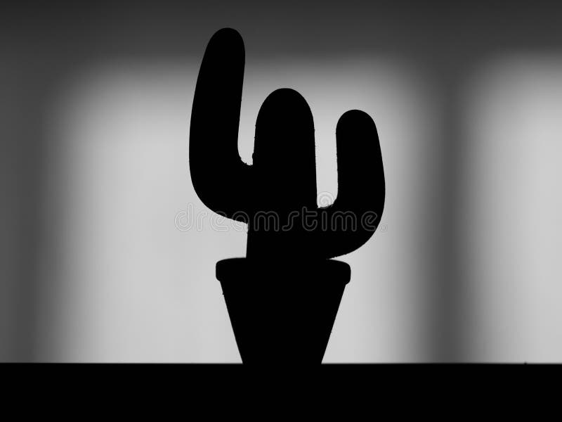 Schattenbild des Kaktus lizenzfreie stockfotografie Schattenbild des Kaktus lizenzfreie stockfotografie