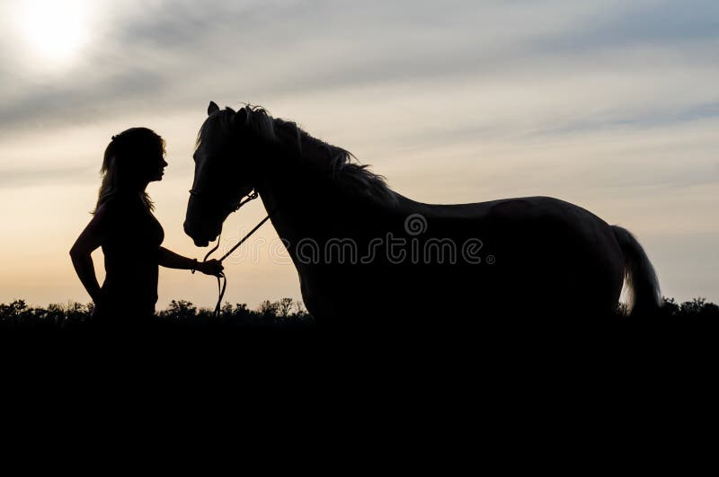 Schattenbild eines jungen Mädchens mit einem Pferd auf dem Hintergrund des Sonnenunterganghimmels stockbild Schattenbild eines jungen Mädchens mit einem Pferd auf dem Hintergrund des Sonnenunterganghimmels stockbild