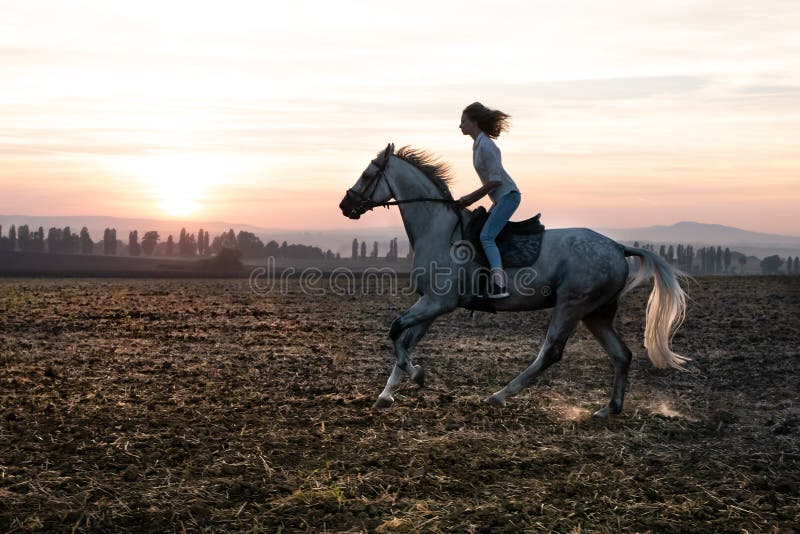 Schattenbild eines Mädchens und des Pferds bei Sonnenuntergang, hetzend über dem Feld stockbilder Schattenbild eines Mädchens und des Pferds bei Sonnenuntergang, hetzend über dem Feld stockbilder
