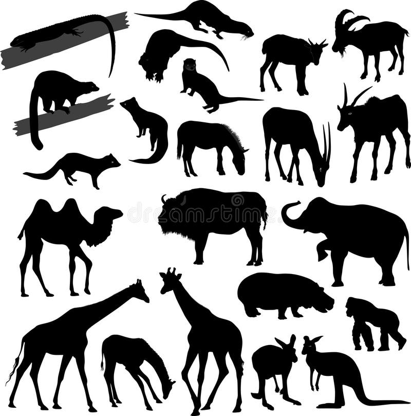 Schattenbilder der Tiere vektor abbildung. Illustration von säugetier