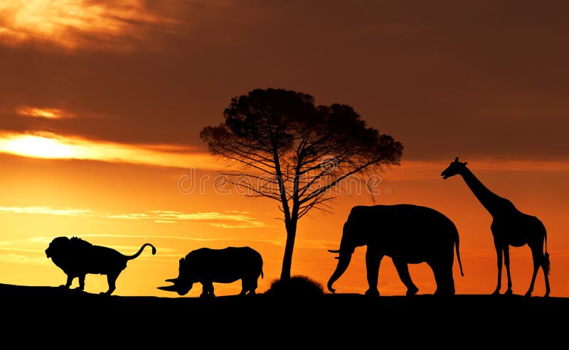 Schattenbilder von afrikanischen Tieren bei Sonnenuntergang in der Savanne