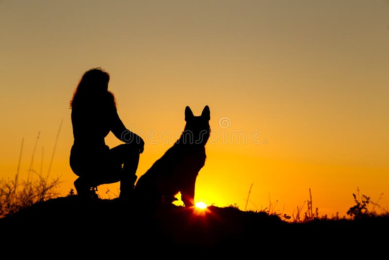 Schattenbildfrau, die mit einem Hund auf dem Gebiet bei Sonnenuntergang, Haustier sitzt nahe dem Bein des Mädchens auf Natur, Sch lizenzfreie stockfotografie