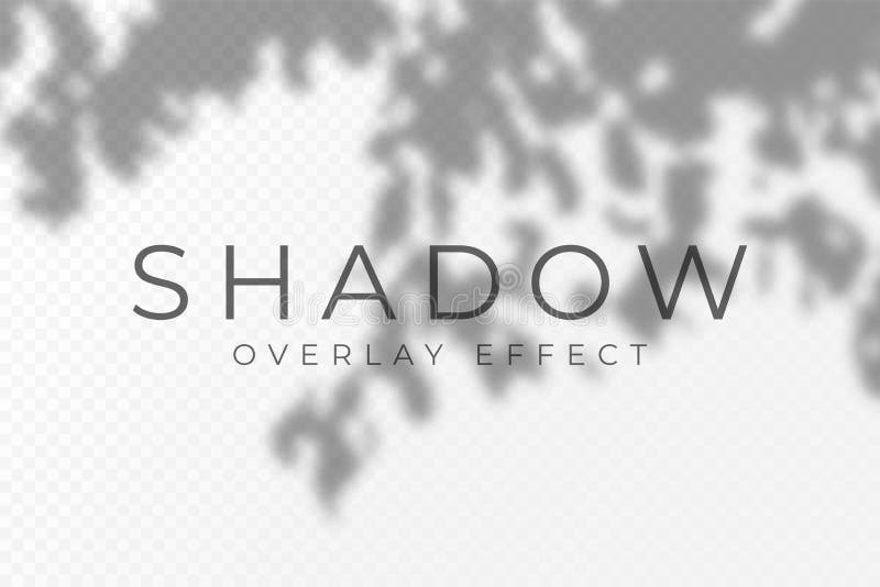 Schattenüberlagerungseffekt. durchsichtiges, weiches Licht und Schatten von Blättern und Blättern