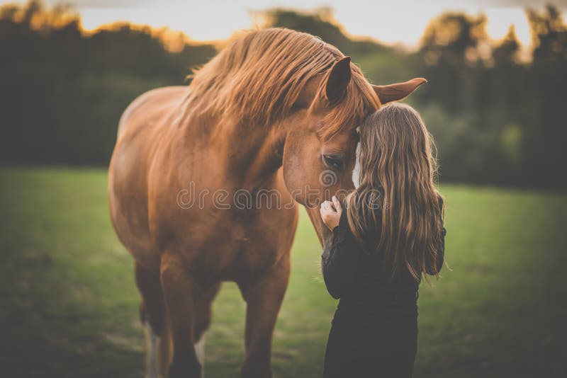 Schattig meisje met haar paard op een mooie weide