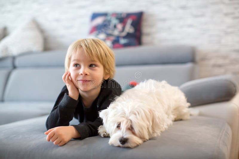 Cute blond child, toddle boy, watching TV with his pet maltese dog at home. Cute blond child, toddle boy, watching TV with his pet maltese dog at home