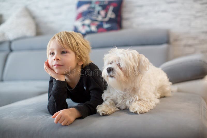 Cute blond child, toddle boy, watching TV with his pet maltese dog at home. Cute blond child, toddle boy, watching TV with his pet maltese dog at home