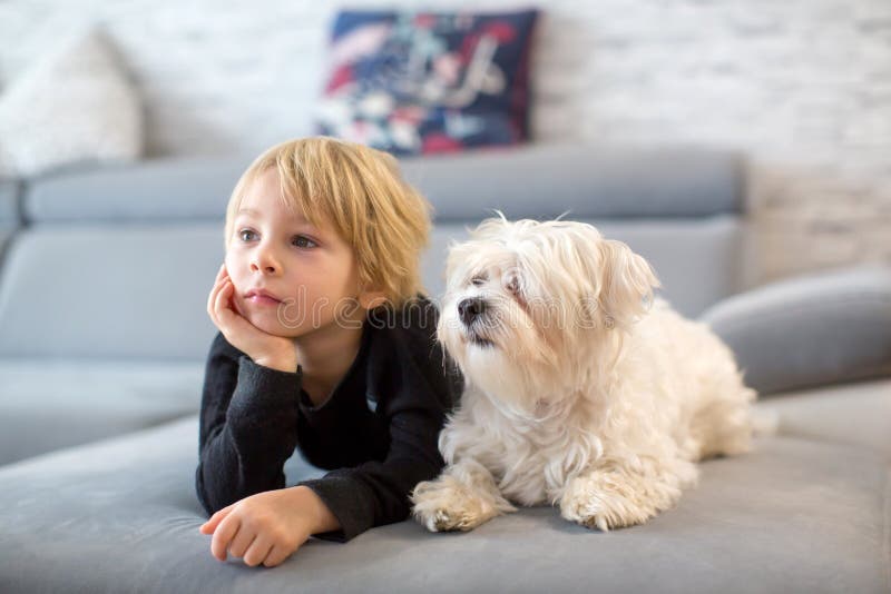 Cute blond child, toddle boy, watching TV with his pet maltese dog at home. Cute blond child, toddle boy, watching TV with his pet maltese dog at home