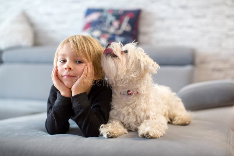 Cute blond child, toddle boy, watching TV with his pet maltese dog at home. Cute blond child, toddle boy, watching TV with his pet maltese dog at home