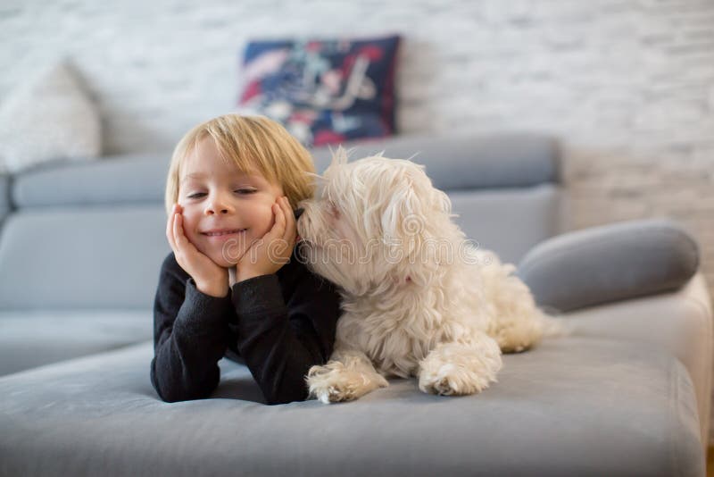 Cute blond child, toddle boy, watching TV with his pet maltese dog at home. Cute blond child, toddle boy, watching TV with his pet maltese dog at home