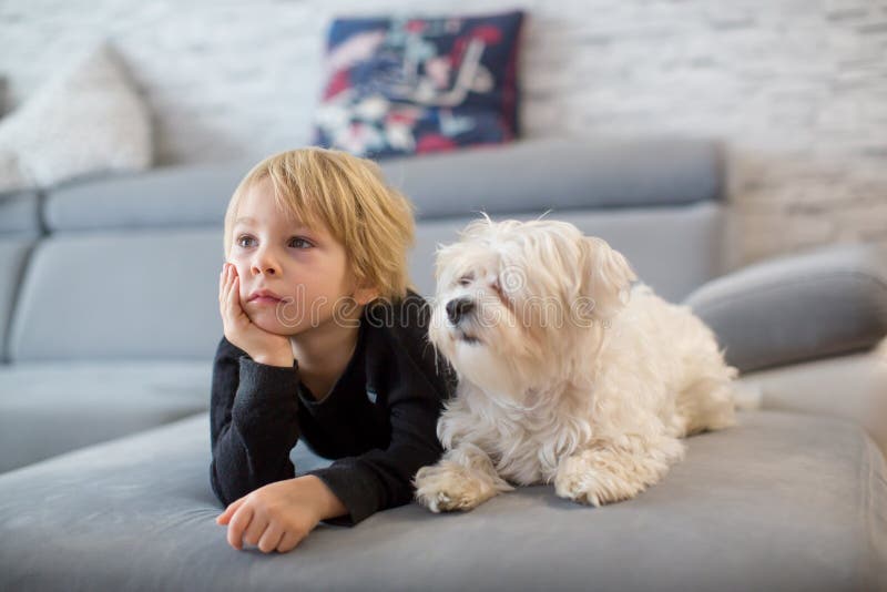 Cute blond child, toddle boy, watching TV with his pet maltese dog at home. Cute blond child, toddle boy, watching TV with his pet maltese dog at home