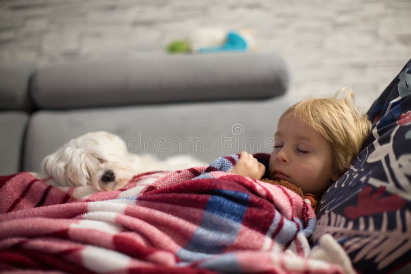 Cute blond child, toddle boy, watching TV with his pet maltese dog at home. Cute blond child, toddle boy, watching TV with his pet maltese dog at home