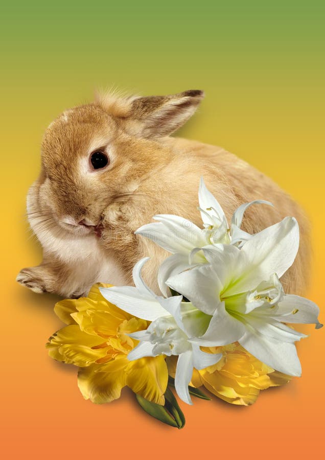 Biglietto di Pasqua fotografie stock