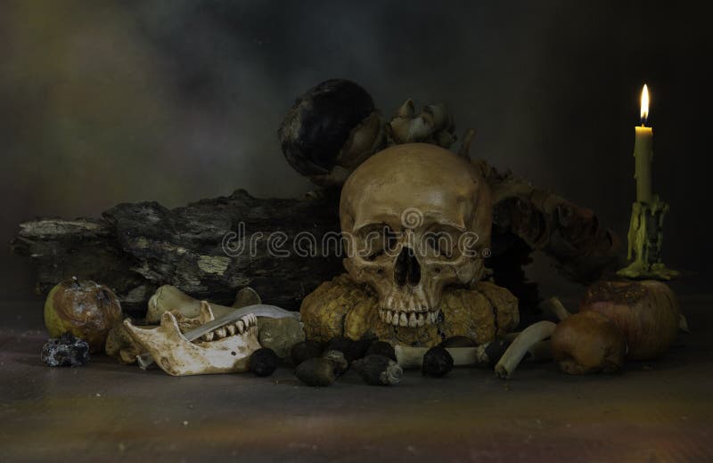 Schedels en stapel van been met fruit en bloemverrotting stock foto Schedels en stapel van been met fruit en bloemverrotting stock foto