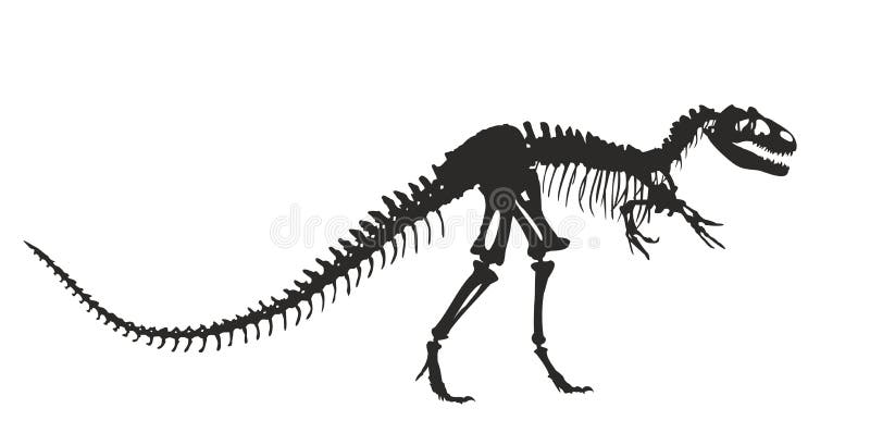 scheletro del dinosauro illustrazione vettoriale scheletro del dinosauro illustrazione vettoriale