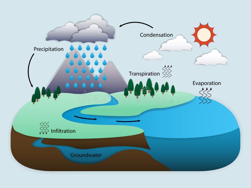 Schemat cyklu wodnego w przyrodzie
