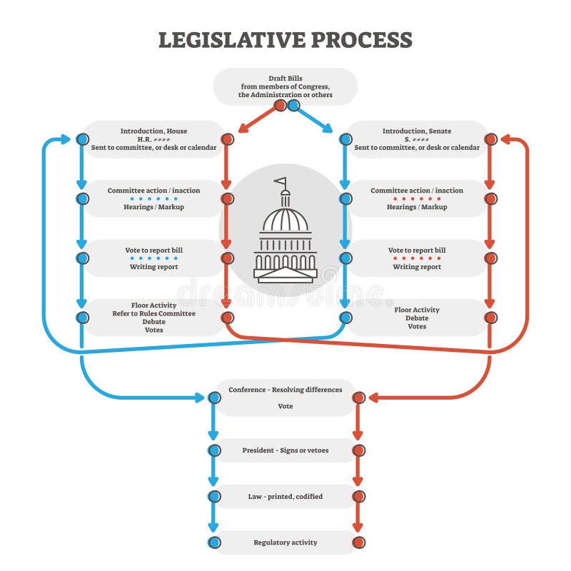 Legislative process outline diagram explanation scheme, vector illustration. Government congress and administration bill draft. Senate and committee action, hearings, voting, debates and other stages. Legislative process outline diagram explanation scheme, vector illustration. Government congress and administration bill draft. Senate and committee action, hearings, voting, debates and other stages.