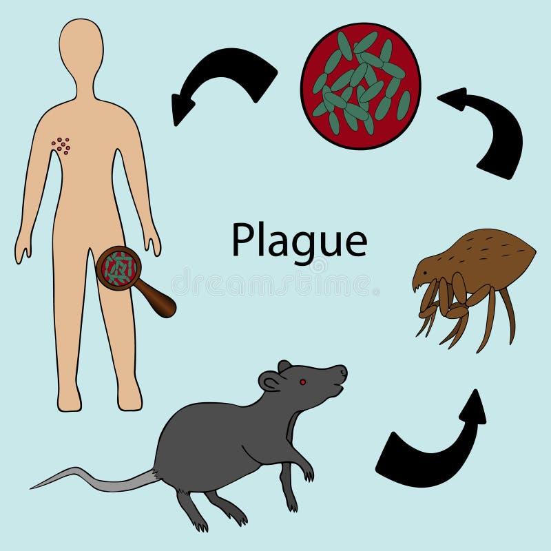 Disease Infected: Plague instal the last version for android Disease Infected: Plague instal the last version for android