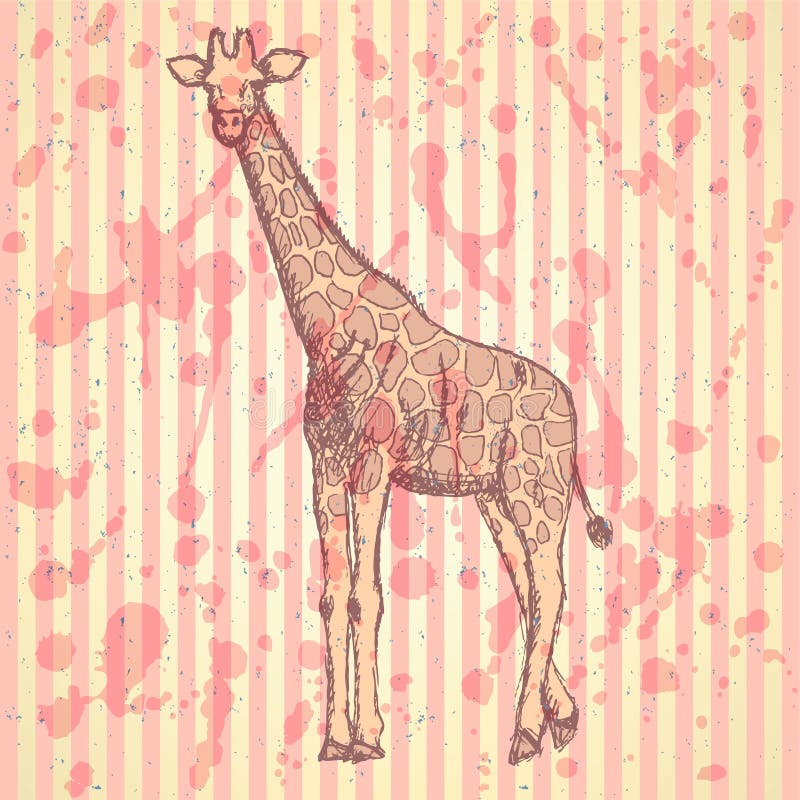 Schets giraffek, vector uitstekende achtergrond royalty-vrije illustratie Schets giraffek, vector uitstekende achtergrond royalty-vrije illustratie