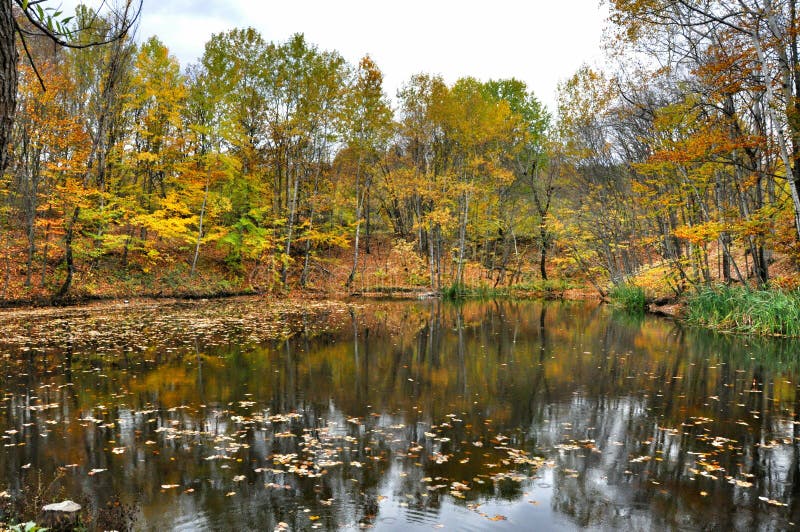 Schilderachtig de herfstlandschap van regelmatige rivier en heldere bomen royalty-vrije stock afbeeldingen Schilderachtig de herfstlandschap van regelmatige rivier en heldere bomen royalty-vrije stock afbeeldingen
