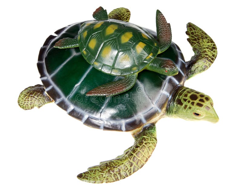 Schildkröte mit Ihrem Sohn