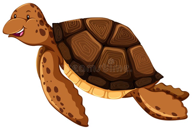  Schildpad vector illustratie