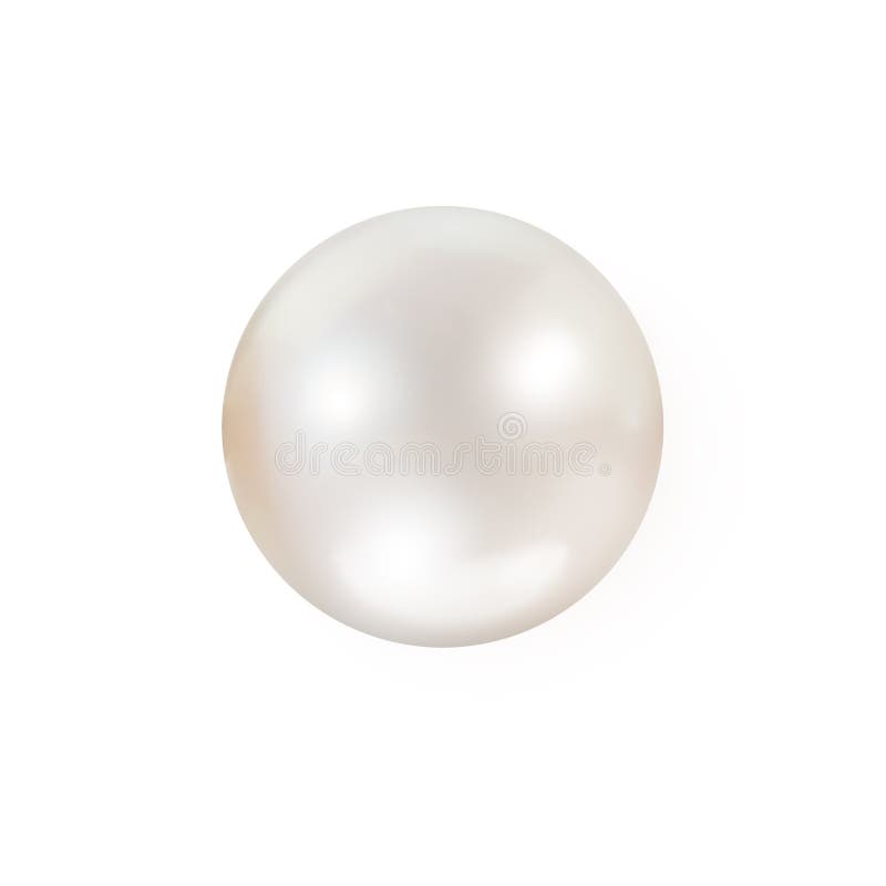 Schimmernde einzelne weiße echte Perle lokalisiert auf weißem Hintergrund