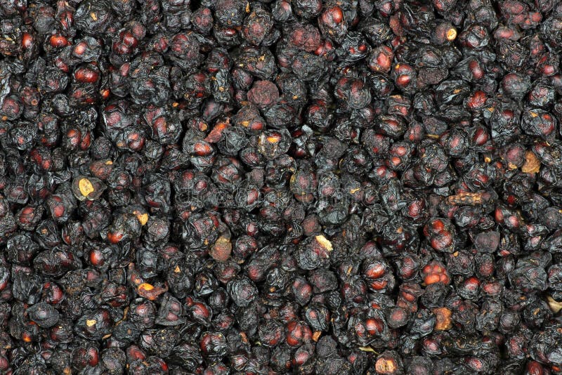 Schisandra berries stock photo. Image of fruit, wuweizi 64680574