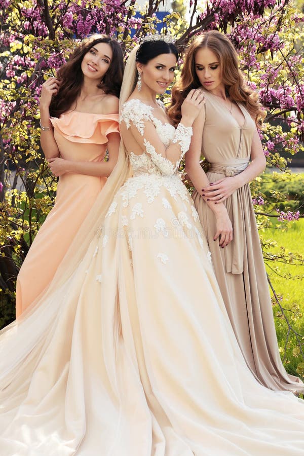 Schitterende bruid in luxueuze huwelijkskleding, die met mooie bruidsmeisjes in elegante kleding stellen royalty-vrije stock afbeelding Schitterende bruid in luxueuze huwelijkskleding, die met mooie bruidsmeisjes in elegante kleding stellen royalty-vrije stock afbeelding