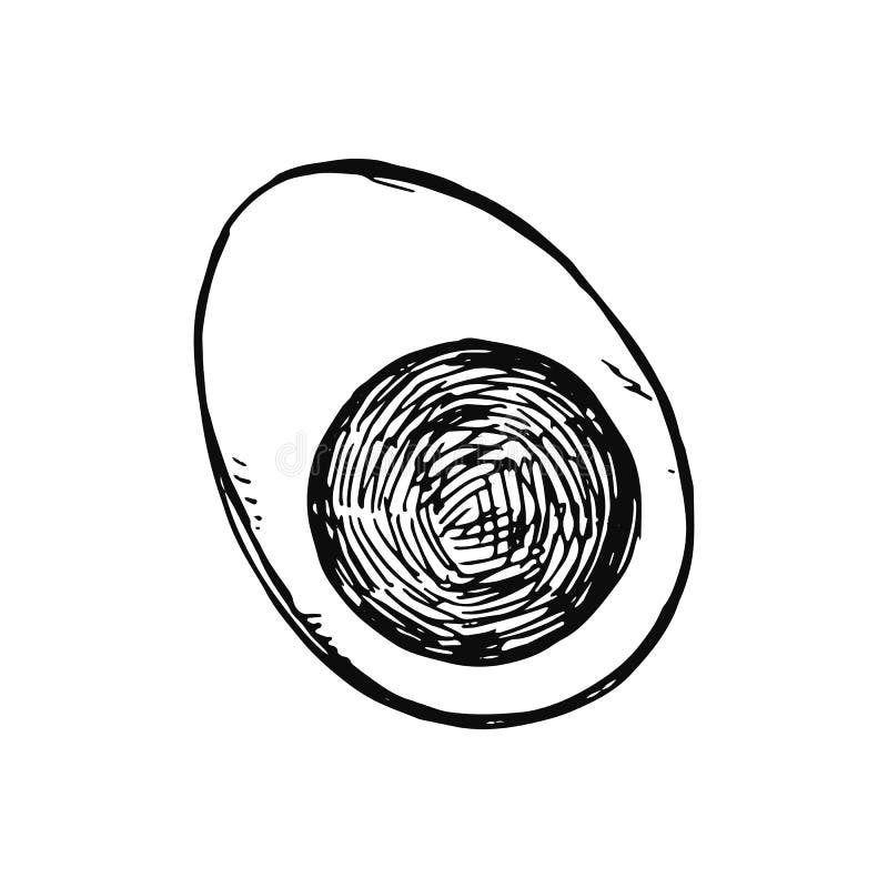 Schizzo del pollo dell'uovo isolato su fondo bianco illustrazione di stock Schizzo del pollo dell'uovo isolato su fondo bianco illustrazione di stock