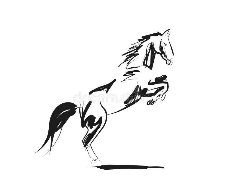 Schizzo dell'inchiostro di vettore di un cavallo illustrazione di stock Schizzo dell'inchiostro di vettore di un cavallo illustrazione di stock