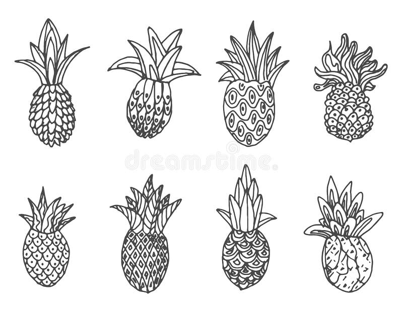 Schizzo disegnato a mano di vettore dell'illustrazione dell'ananas su fondo bianco royalty illustrazione gratis Schizzo disegnato a mano di vettore dell'illustrazione dell'ananas su fondo bianco royalty illustrazione gratis