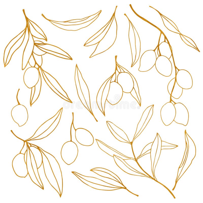 Schizzo dorato di vettore con oliva, il ramo e le foglie Linea floreale dipinta a mano insieme di arte Illustrazione isolata su b illustrazione di stock Schizzo dorato di vettore con oliva, il ramo e le foglie Linea floreale dipinta a mano insieme di arte Illustrazione isolata su b illustrazione di stock