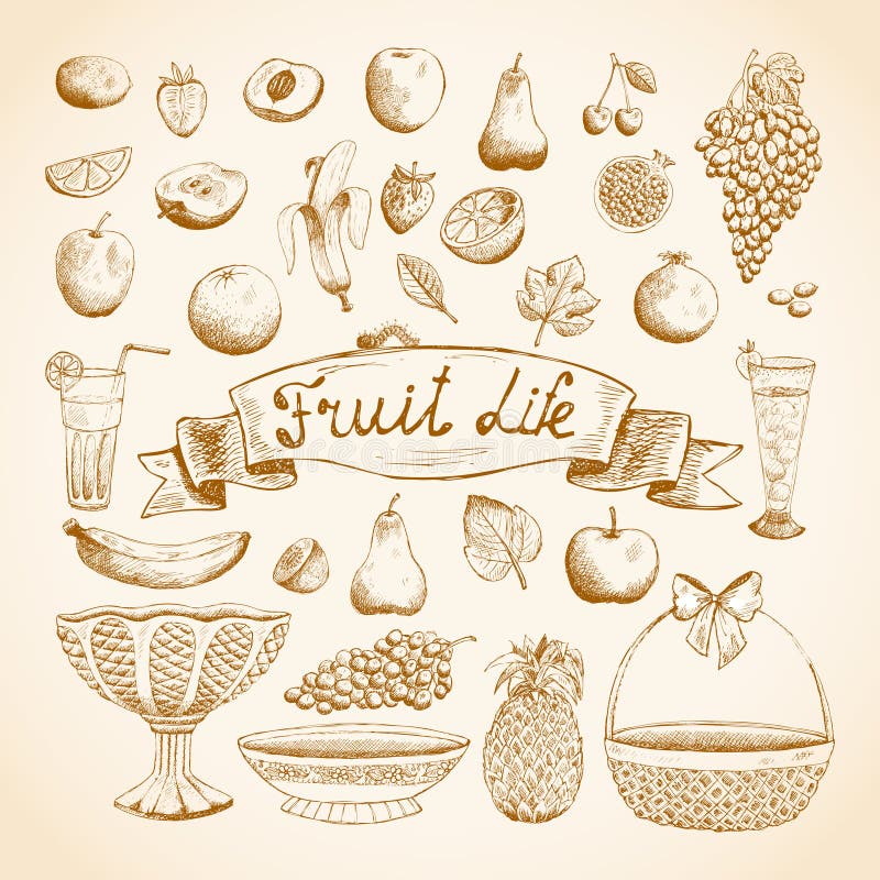Schițe ale fructelor suculente proaspete royalty free illustration