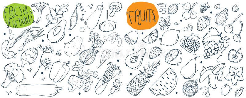 Schițe trase manual pentru fructe și legume proaspete. ilustrare. stock illustration